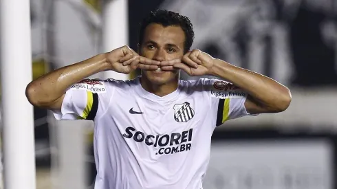 Leandro Damião custou mais de R$ 40 milhões aos cofres do Santos em 2013 - Foto: Ricardo Saibun/Santos