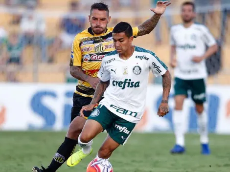 Palmeiras x Novorizontino: Saiba onde assistir partida desta quinta-feira (28)
