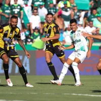 Palmeiras x Novorizontino AO VIVO - Onde assistir jogo em tempo real pelo Campeonato Paulista