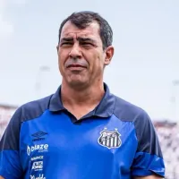 Análise: Fábio Carille tem que preparar Santos para desafios no início da Série B