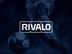 Rivalo Brasil: Veja tudo sobre como a casa de apostas funciona