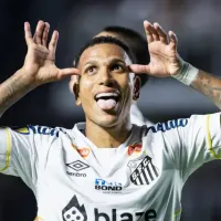 Avaí x Santos AO VIVO - Onde assistir jogo em tempo real pelo Brasileirão Série B
