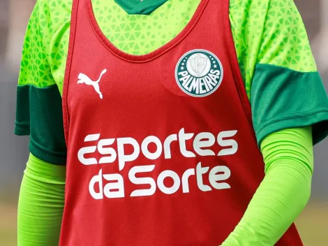 Esportes da Sorte vem forte para patrocinar Palmeiras; Saiba tudo!