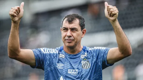 Fábio Carille em partida da Série B