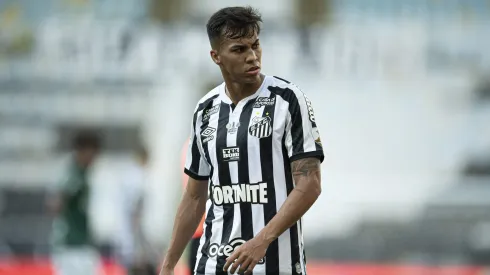 Atacante foi revelado pelas categorias de base do Peixe