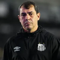 Atitude de Fábio Carille após vitória do Santos contra a Chapecoense chama atenção do torcedor