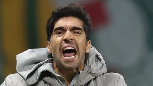 Abel Ferreira causou mais uma vez na coletiva e citou o Mengão -
(Foto: Cesar Greco/Palmeiras/by Canon)