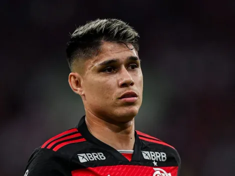 Luiz Araújo brilha no Brasileirão e é elogiado por flamenguistas