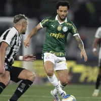 Botafogo vence o Palmeiras por 1 a 0 no Campeonato Brasileiro