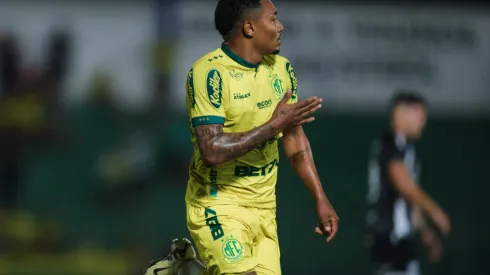 Mirassol e Avaí entram em campo pela 17ª rodada do Brasileirão Série B.