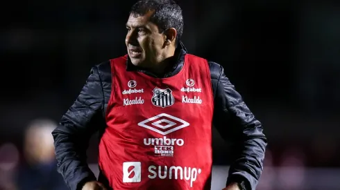 Fábio Carille comanda planejamento do Santos