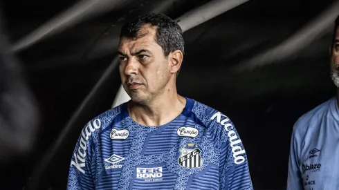 Carille tem estratégia para evolução do Santos