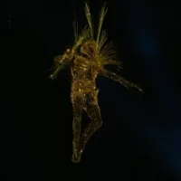 Olimpíadas 2024: Cerimônia de encerramento gera memes com \'viajante dourado\'