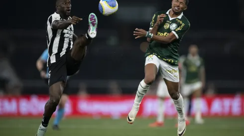 Botafogo receberá Palmeiras pela ida das oitavas da Libertadores, no estádio Nílton Santos (Foto: Jorge Rodrigues/AGIF)