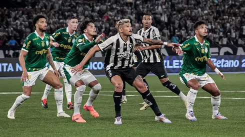 Botafogo e Palmeiras se enfrentando pelo Campeonato Brasileiro de 2024.