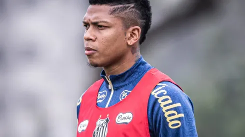 Billy Arce é reforço do Santos para pegar Avaí - Foto: Ivan Storti/Santos FC
