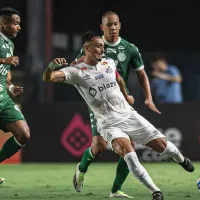 Brasileirão Série B 2024: Guarani x Santos horário, escalações do jogo, arbitragem e informações principais