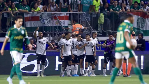 Botafogo elimina Palmeiras da Libertadores