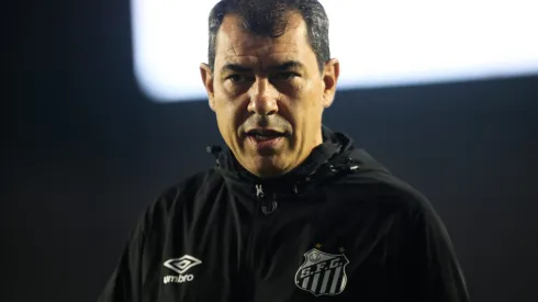 Fábio Carille em partida do Santos na Série B
