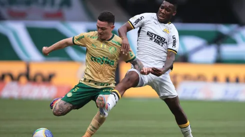 Palmeiras x Criciúma pelo Campeonato Brasileiro A 2024. Foto: Ettore Chiereguini/AGIF