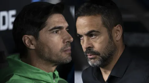 Palmeiras x Botafogo no Brasileirão. Foto: Thiago Ribeiro