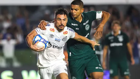 Willian jogador do Santos comemora seu gol durante partida contra o Goiás na Vila Belmiro pelo Campeonato Brasileiro B 2024. Foto: Reinaldo Campos/AGIF
