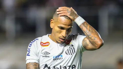 Santos tenta acesso para a Série A. Foto: Reinaldo Campos/AGIF