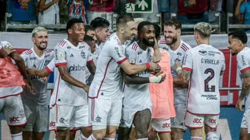 Flamengo no Brasileirão 2024. Foto: Jhony Pinho/AGIF