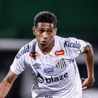 Souza se destaca em Santos x Chapecoense e pode ser titular contra o Ceará