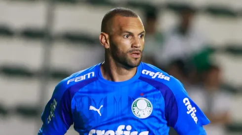 Weverton goleiro do Palmeiras. Foto: Luiz Erbes/AGIF
