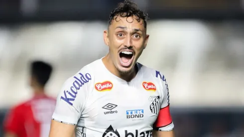 Santos próximo de retorno à Série A. Foto: Reinaldo Campos/AGIF