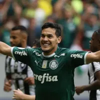 Chances de título do Palmeiras no Campeonato Brasileiro são atualizadas: "Era 28%"