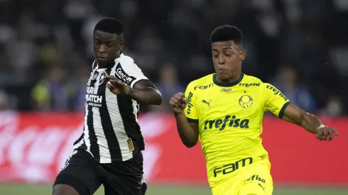 Botafogo enfrenta Palmeiras no Brasileirão. Foto: Jorge Rodrigues/AGIF