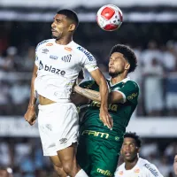 Palmeiras vira com golaço nos acréscimos e bate o Santos na Vila Belmiro