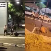 Confusão entre torcedores de Flamengo e Botafogo antecede a Supercopa do Brasil