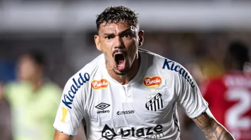 Tiquinho Soares jogador do Santos – Foto: Abner Dourado/AGIF