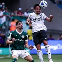 Botafogo amplia invencibilidade contra Palmeiras e chega a cinco jogos sem derrota para o adversário