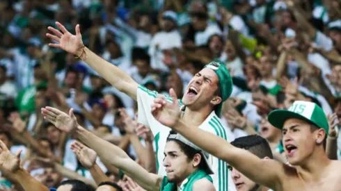 Torcida do Palmeiras. (Foto: Reprodução/Alexandre Schneider