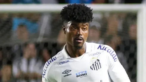 Eduardo Bauermann em partida pelo Santos. Foto: Fernanda Luz/AGIF