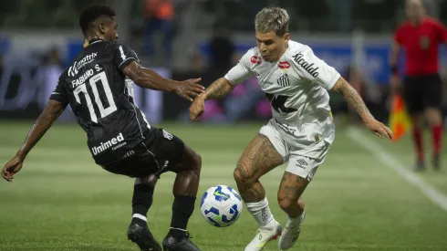 Santos x Ceará no Allianz Parque pelo Campeonato Brasileiro A 2025. Foto: Anderson Romao/AGIF