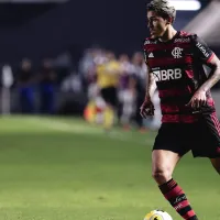 Santos confirma local para jogo contra Flamengo após problemas com Morumbis e Mané Garrincha