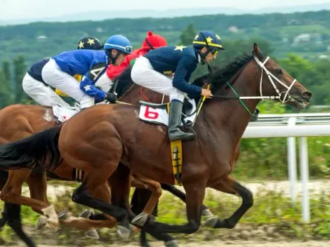 Como apostar em corrida de cavalos: mercados, dicas e sites