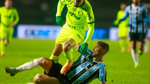 Palmeiras x Grêmio no Brasileirão de 2024 Foto: Luiz Erbes/AGIF