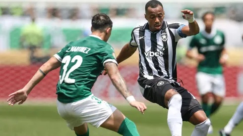 Palmeiras e Botafogo se reencontram após duelo no Mundial de Clubes (Photo by Francois Nel)