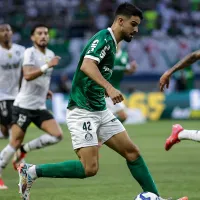 Vidente aponta quem é o favorito a vencer em Botafogo x Palmeiras pelo Brasileirão Betano