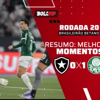 Botafogo 0 x 1 Palmeiras: Resumo completo da vitória do Palmeiras para manter viva a luta pela liderança do Brasileirão