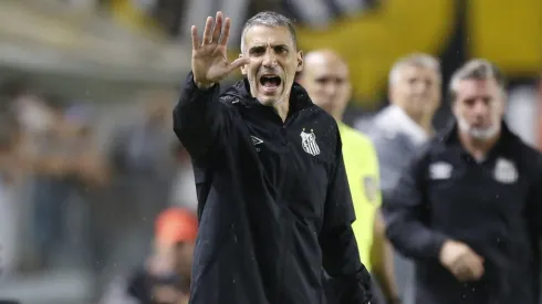 Vojvoda, técnico do Santos em partida pelo campeonato brasileiro