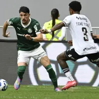 Entenda como Palmeiras x Vasco chegam para a partida válida pela 26ª rodada do Brasileirão Betano