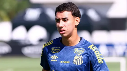 Bontempo projeta evolução da equipe