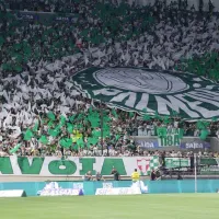 Palmeiras oferece ingressos gratuitos para duelo contra o Red Bull Bragantino no Paulistão